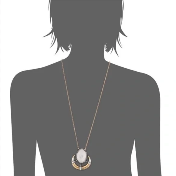 Lucky Brand Organic Stone Horn Pendant Necklace